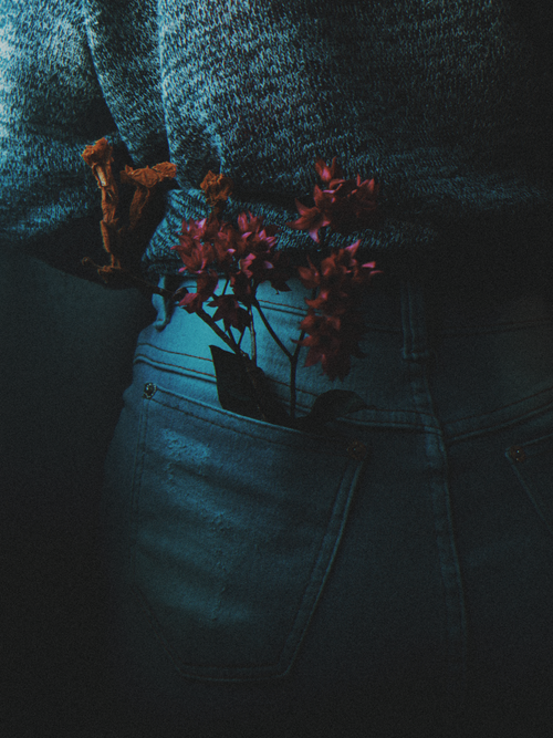 Free Artistic close-up of pink flowers in jeans pocket, moody lighting. Stock Photo