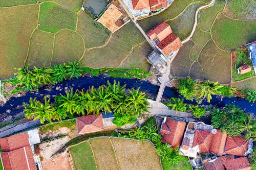 Aerial View of Houses in a Agricultural Land