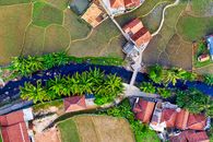 Aerial View of Houses and Trees