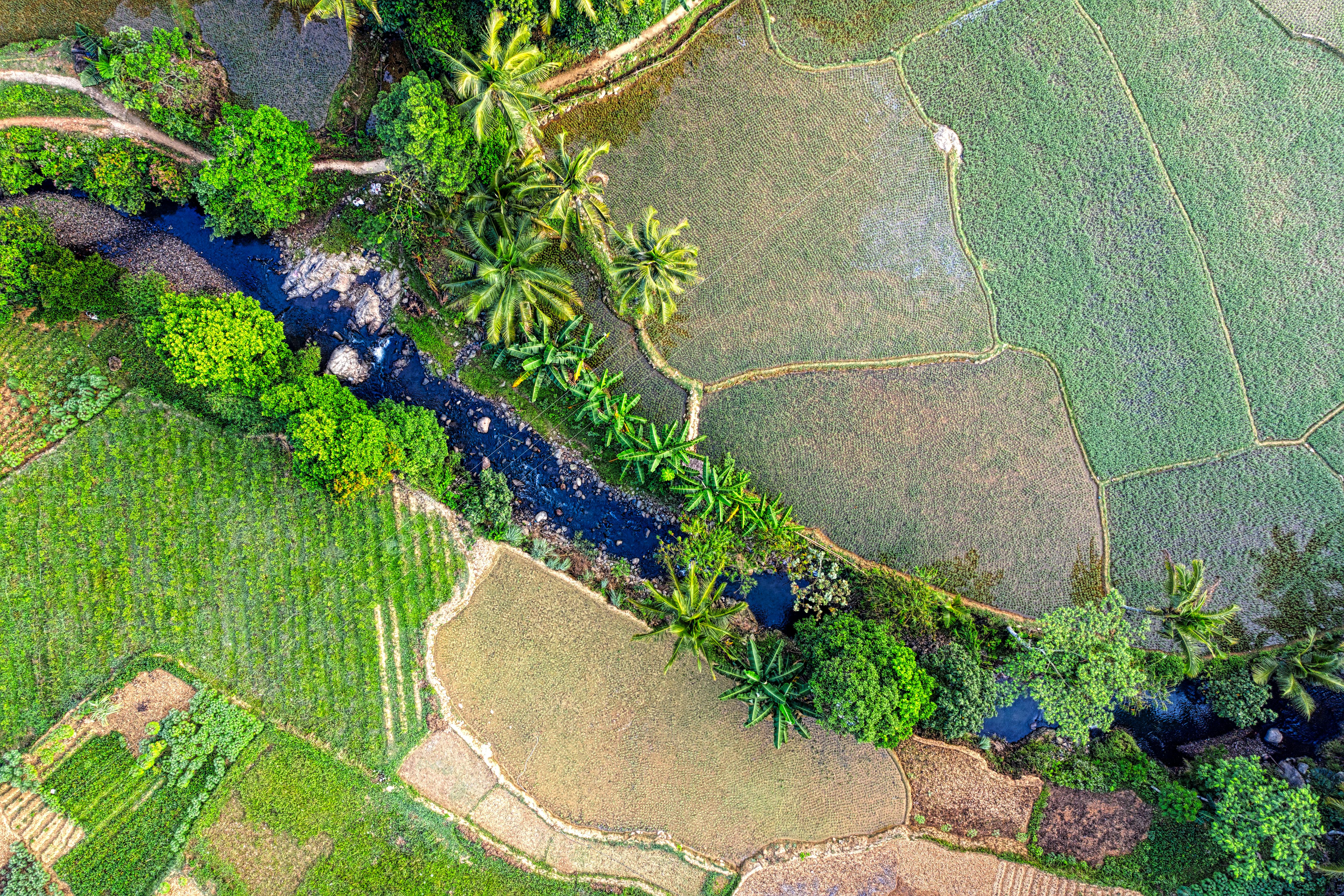 climate resilience climate policy — Photo by Tom Fisk on Pexels