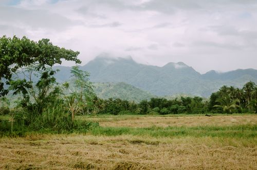 Free Captivating view of fog-covered hills with lush greenery and open fields. Stock Photo