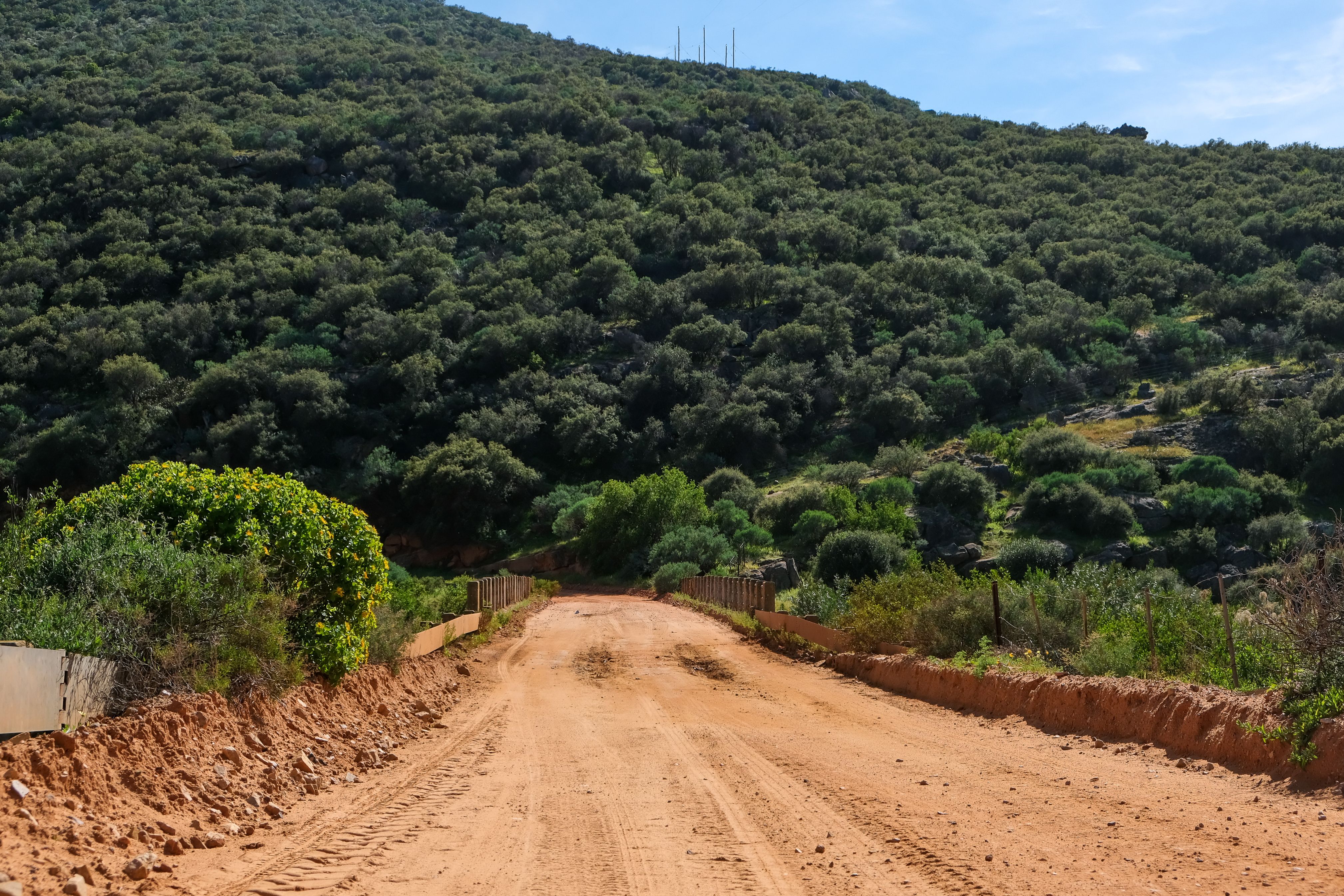 Dirt Road Leading to the Mountains · Free Stock Photo