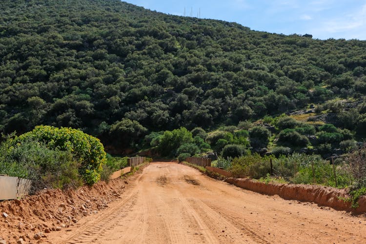 Dirt Road Leading To The Mountains