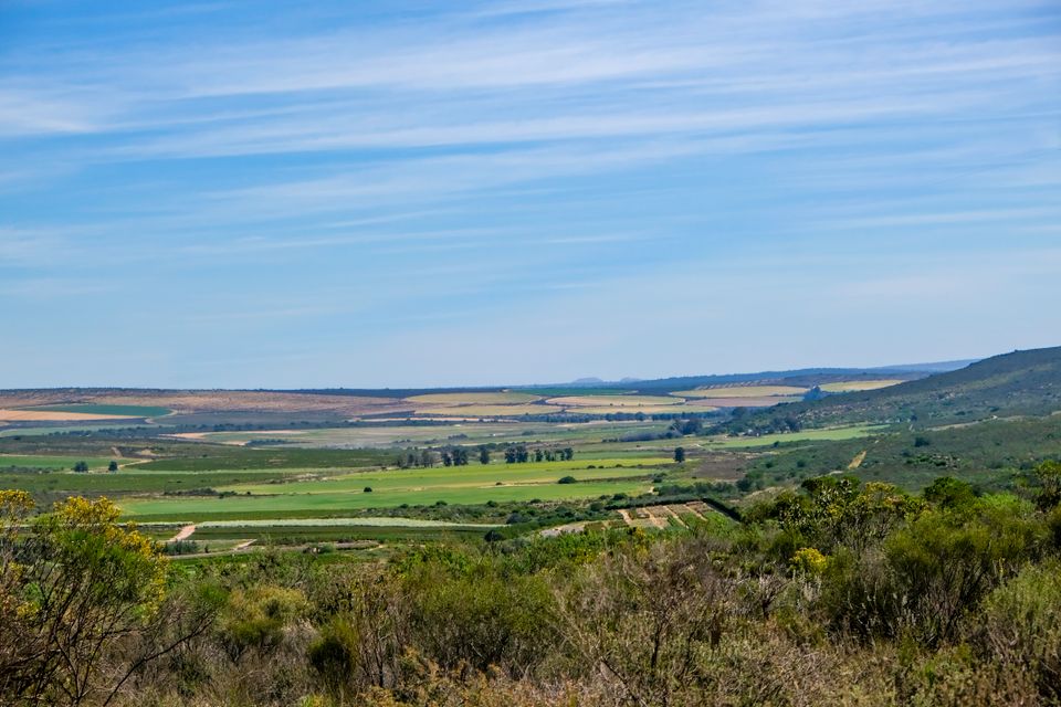 in Südafrika