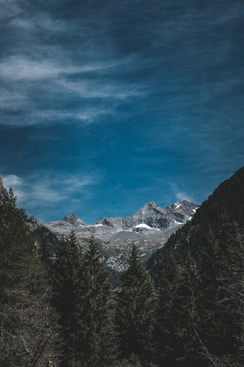 Scenery view of high peaks of mountains with green woodland in highland area under blue sky