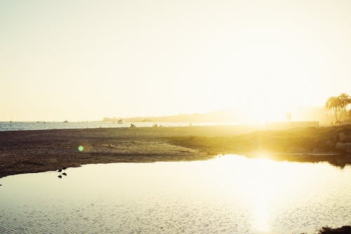 Golden Hour Photography of Body of Water