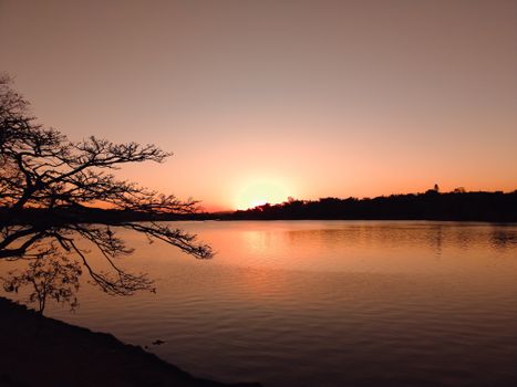 Tranquil sunset scene with a silhouetted tree by the lake, creating a peaceful ambiance.
