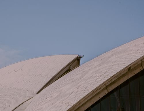 Free Abstract close-up of the Sydney Opera House's unique architectural design under a clear sky. Stock Photo