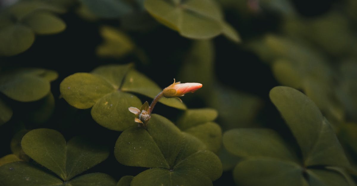 幸運兒注意!今彩539頭獎開出 🎉💰