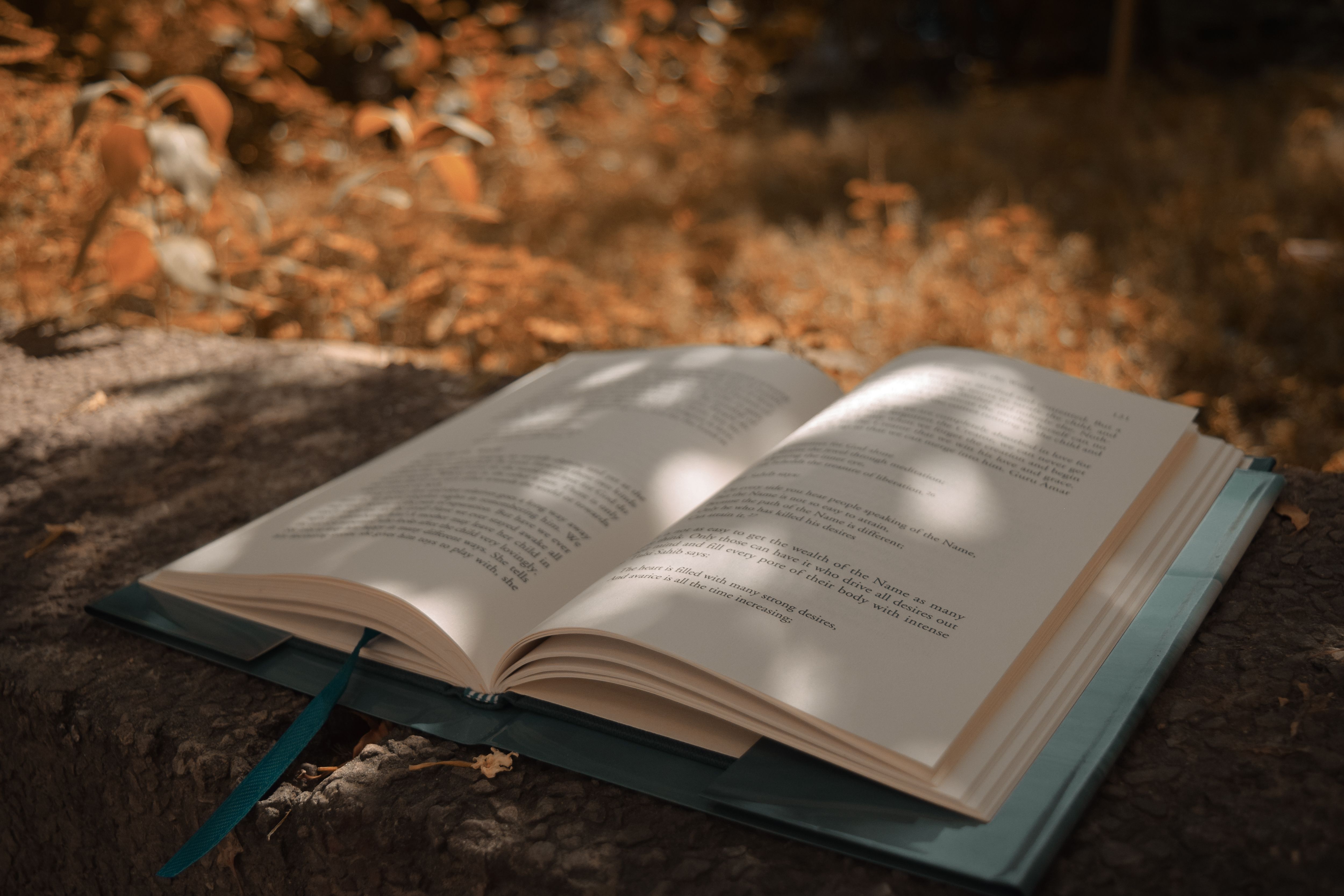 Foto: Richa  Sharma / Pexels