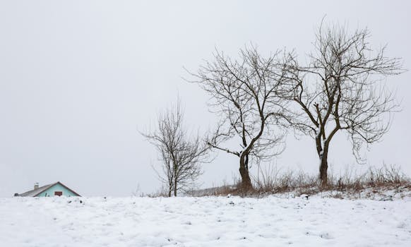 Winter scene of bare trees in a snow-covered field with a distant rooftop under an overcast sky.
