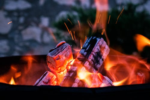 Close-Up Shot of Burning Wood on Fire Pit