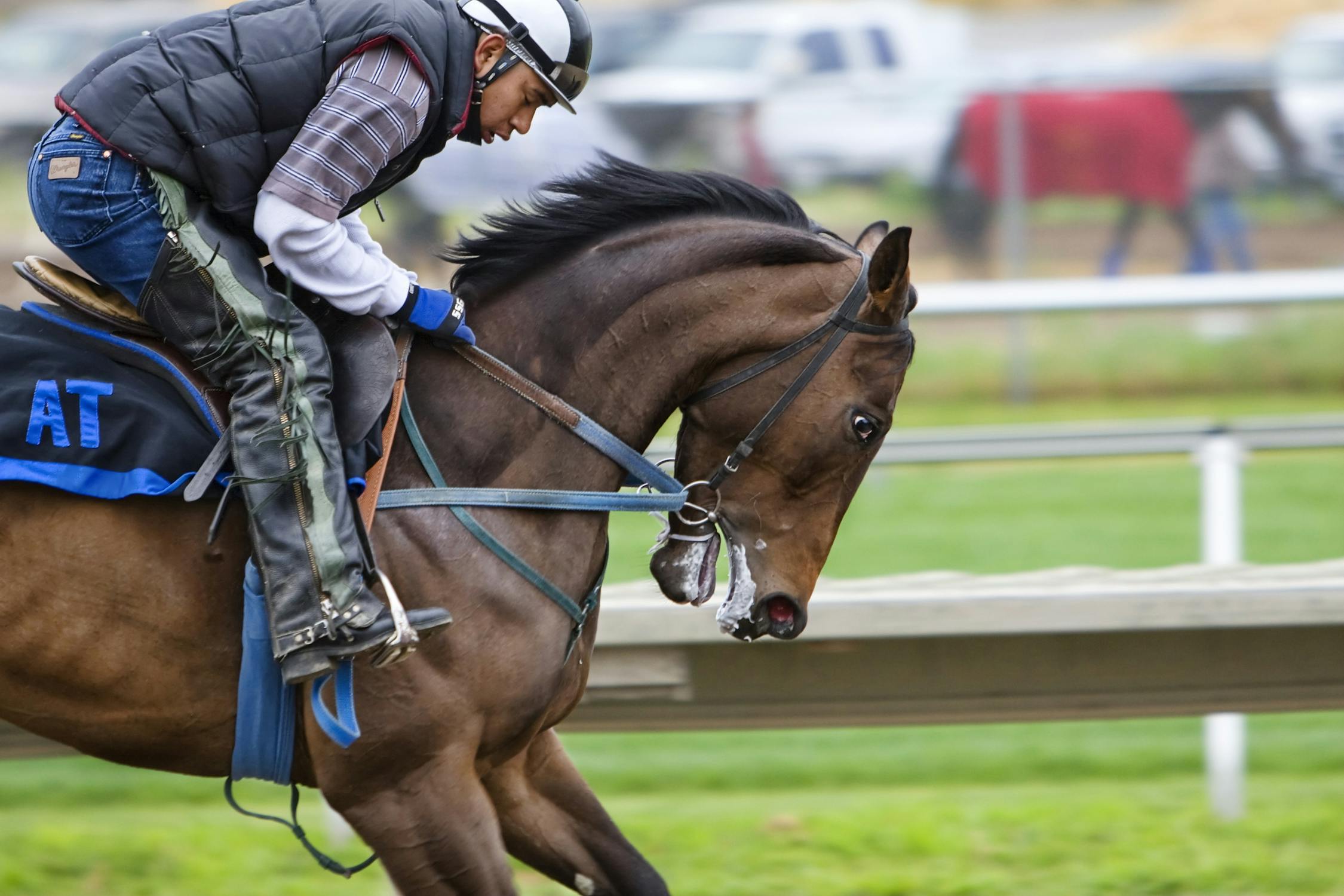 Horse racing - Hallandale is famous for it.