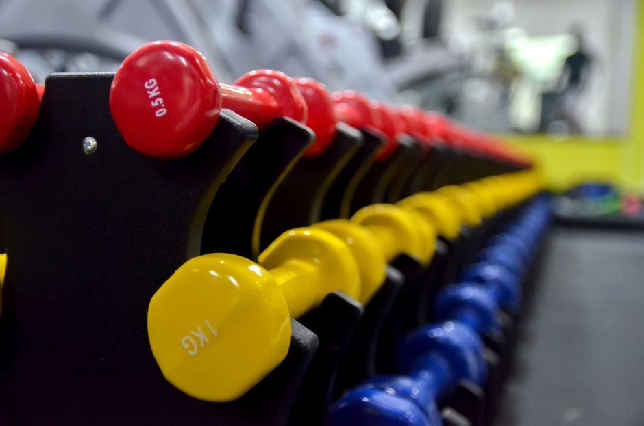 Giá Hạt Macca 1Kg Bao Nhiêu Tiền? Cập Nhật Bảng Giá Cạnh Tranh 3 Colorful dumbbells arranged in a gym setting, perfect for fitness and exercise-related content.