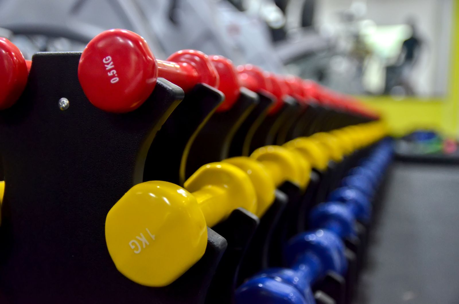 Red, yellow and blue dumbbells lined up on a gym rack.