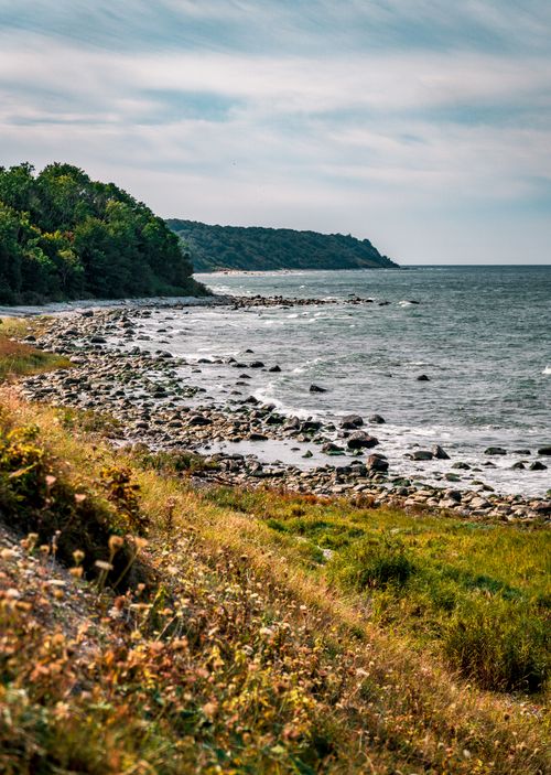 Free Explore the rocky coastline of Putgarten, Germany with vibrant greenery and the serene sea. Stock Photo