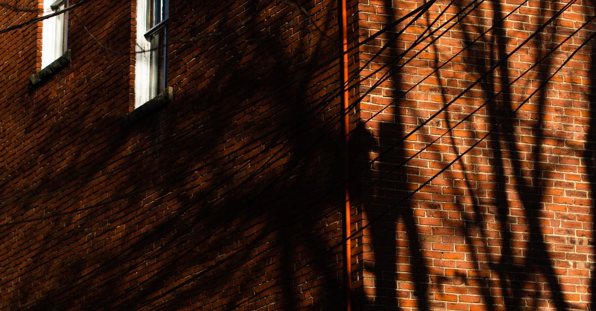 Residential Building with Shadow of Tree · Free Stock Photo
