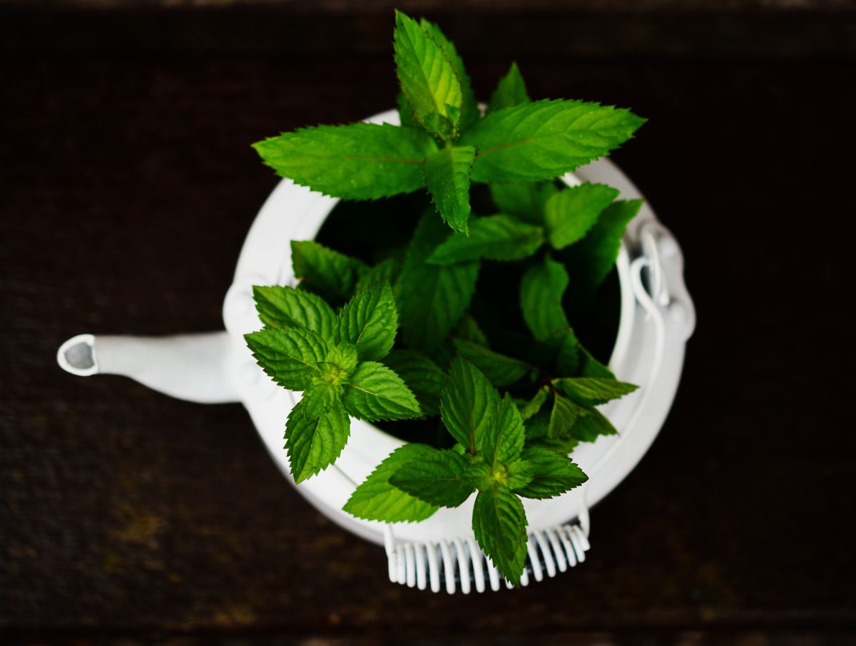 Natural leaves