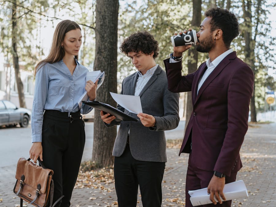 What are the 3 core values of professionalism?