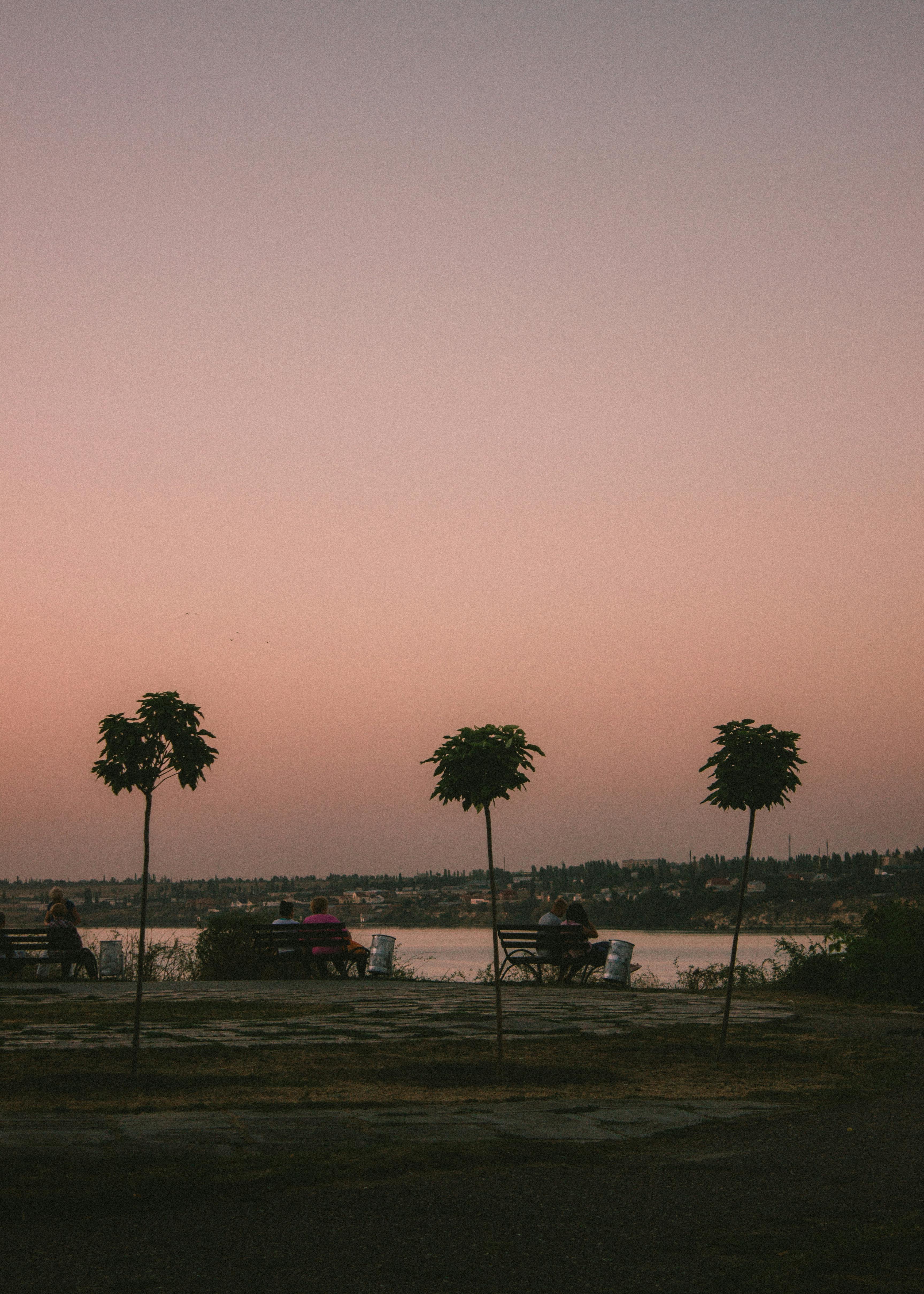 Peaceful sunset view with silhouettes of people sitting by the lake in Николаев, Ukraine.