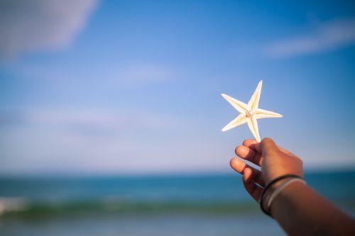 Free A hand holds a starfish against the backdrop of a clear blue sky and ocean waves, capturing a summer moment on the beach. Stock Photo
