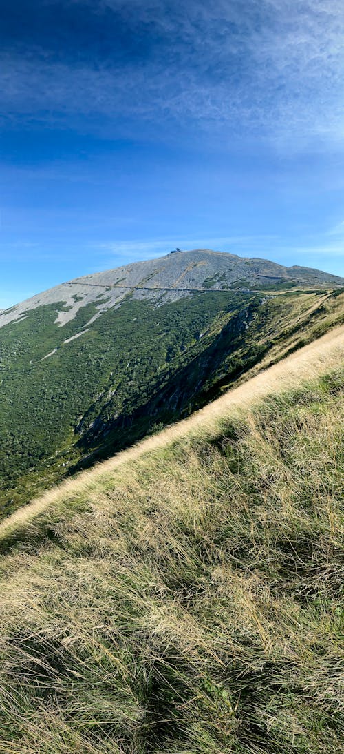 Foto profissional grátis de montanha