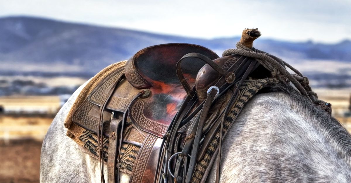 Brown And Black Leather Horse Saddle On White And Gray Animal Free brown-and-black-leather-horse-saddle-on-white-and-gray-animal-free