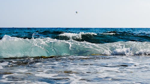 水域