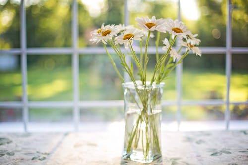 White Flowers on Glass Vase