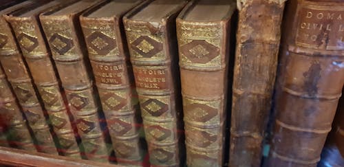 Free stock photo of ancient books, bookshelf, library