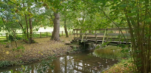 Free stock photo of bridge, country, green