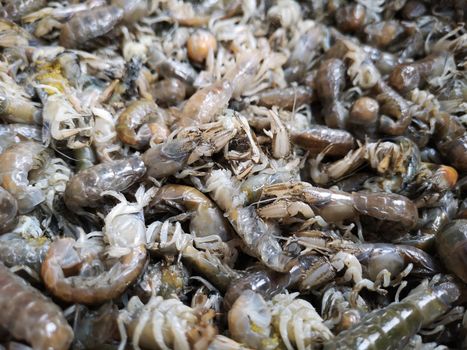Close-up of fresh mantis shrimps at a seafood market in Taiwan, showcasing the texture and detail of these shellfish.