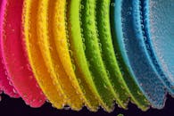 彩色塑料盘的特写，水泡点缀其间，凸显了充满活力的色调