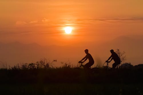 Silhouette of Men Riding Bicycle during Sunset