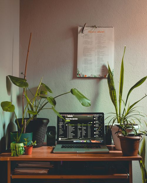 Free A serene indoor workspace featuring a laptop, potted plants, and a Spotify interface on screen. Stock Photo