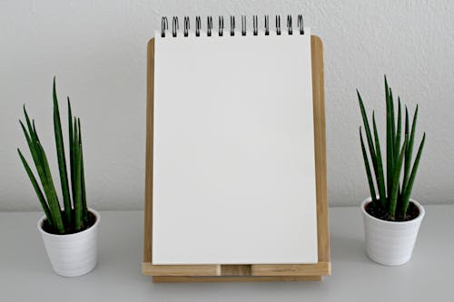 Free White Drawing Book Stock Photo
