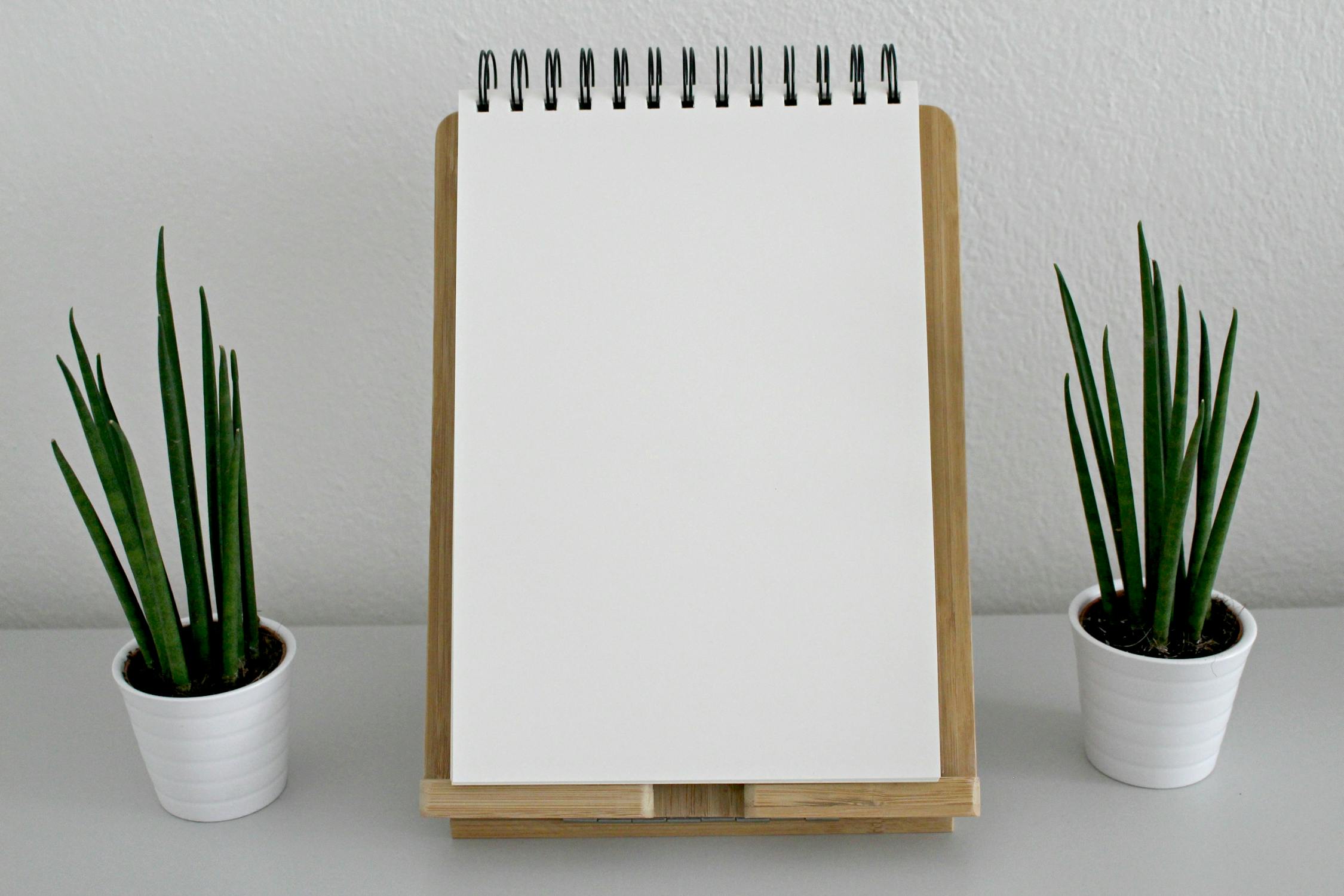 White Drawing Book with Sansevieria cylindrica
