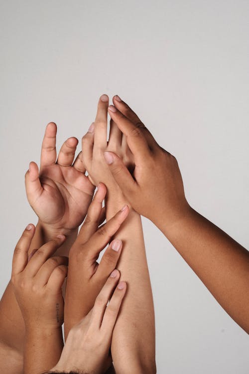 Crop multiracial unrecognizable female joining hands together supporting each other and accepting individuality of each other