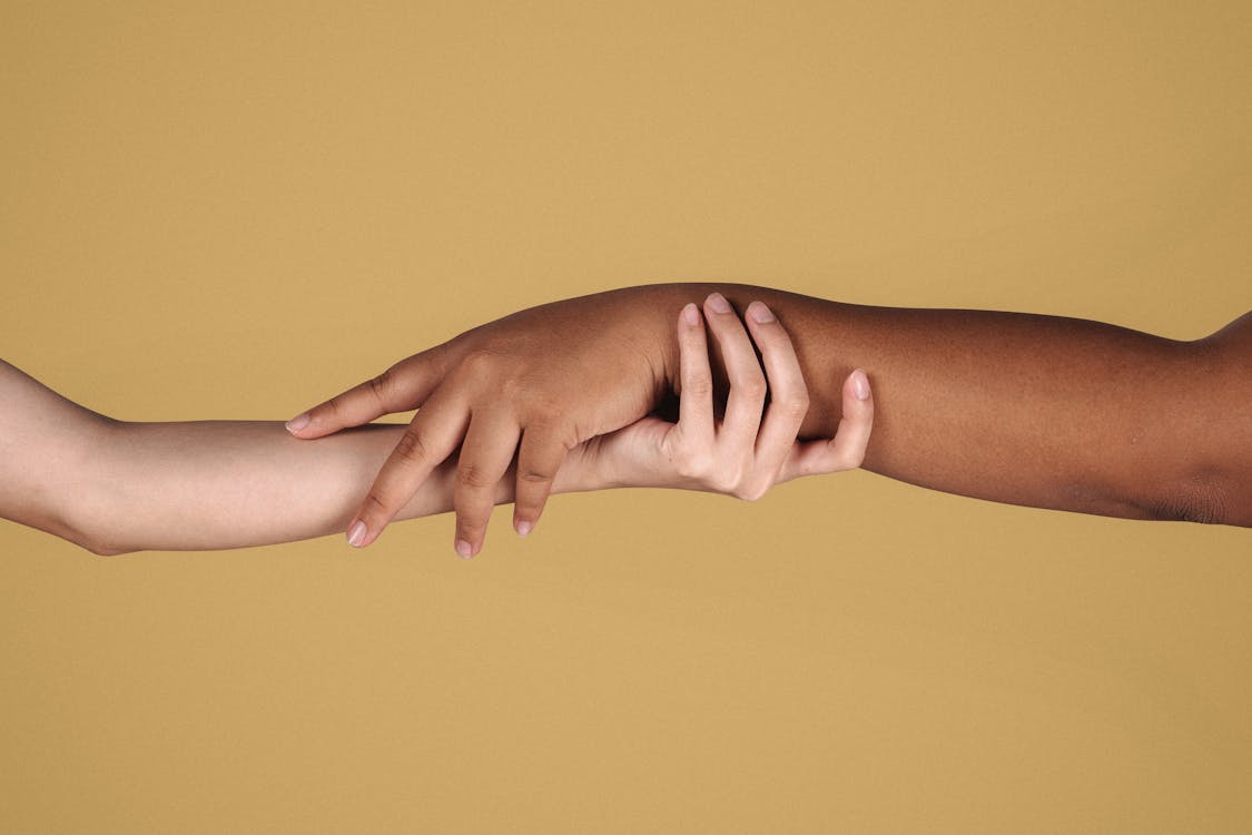 Free Diverse women showing respect to each other while holding hands Stock Photo