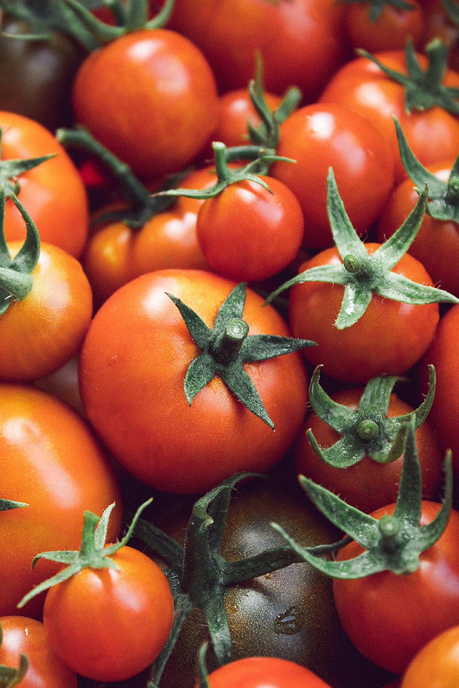 a close up shot of tomatoes