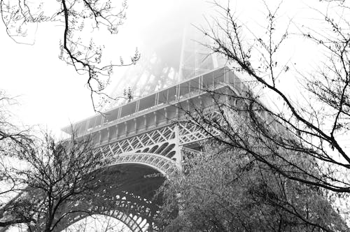 Grayscale Photo of Trees Near the Eiffel Tower