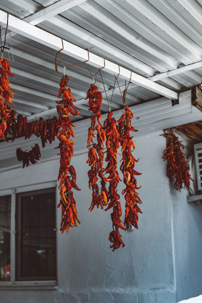 Real photo of red chillies drying in the sun