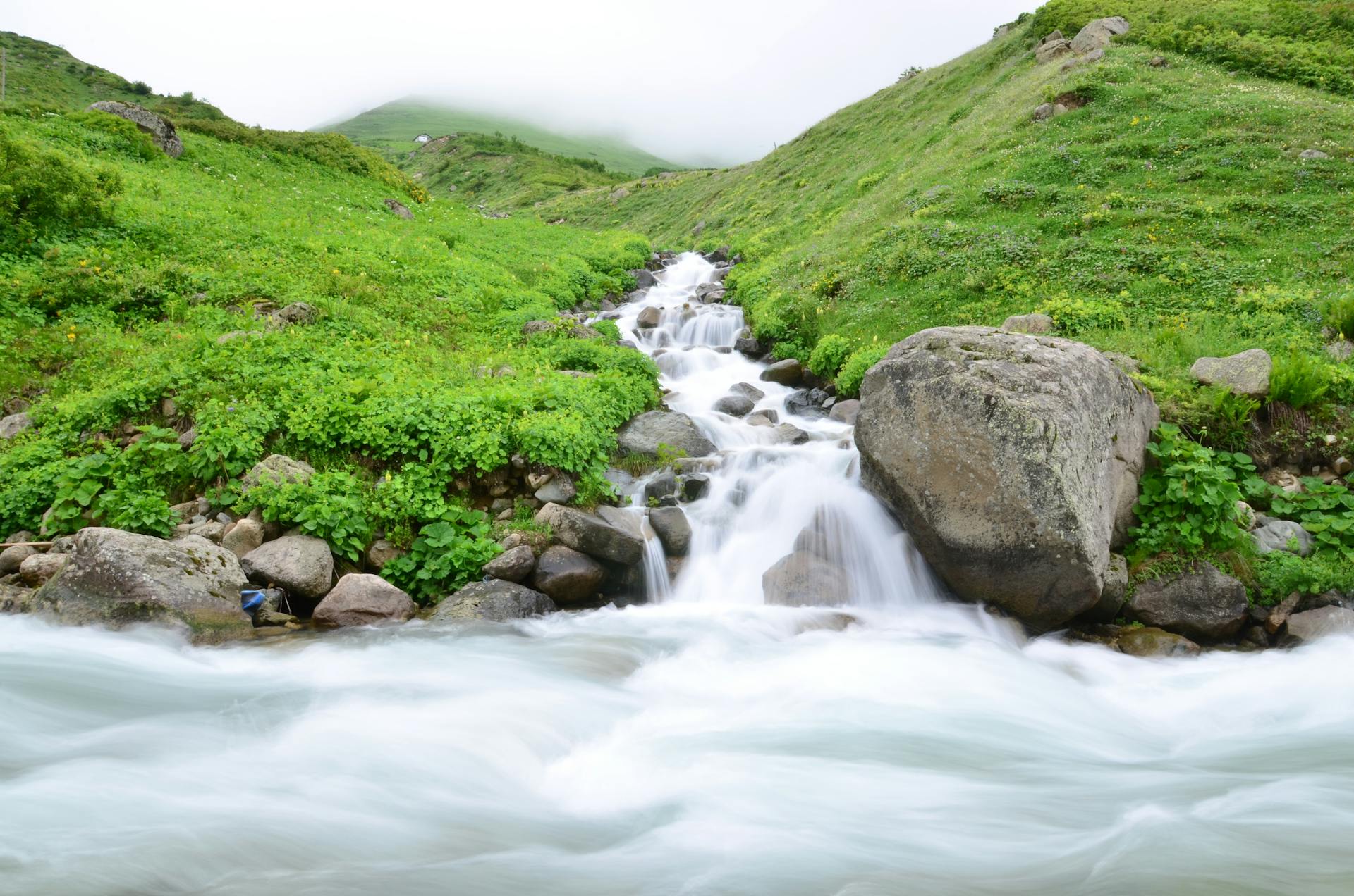 A tranquil stream flows through lush green hills, surrounded by rocks and vibrant vegetation.