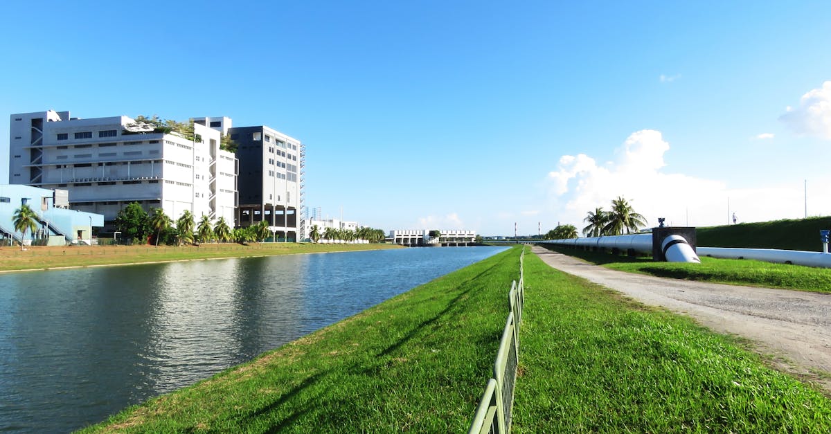 留学生在九州大学的学习体验与环境分析 留学生在九州大学的学习体验与环境分析