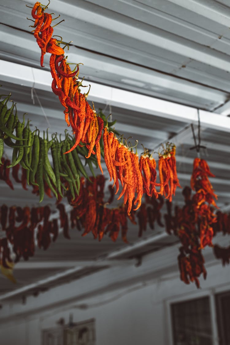 Row Of Red Chili Peppers Hanging On A String