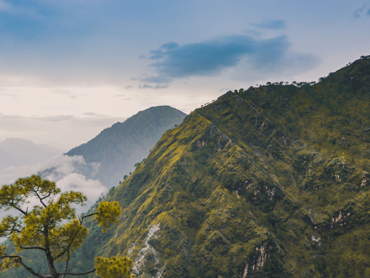 6 Day Ayurvedic Cleanse Detox & Yoga Retreat in Rishikesh India 3