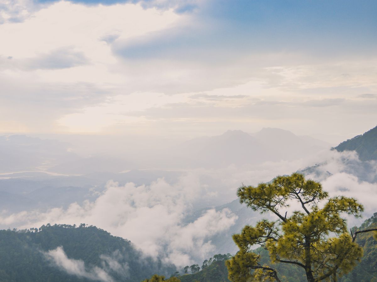8 Day Blissful Ayurvedic Detox and Yoga Retreat in Rishikesh 1