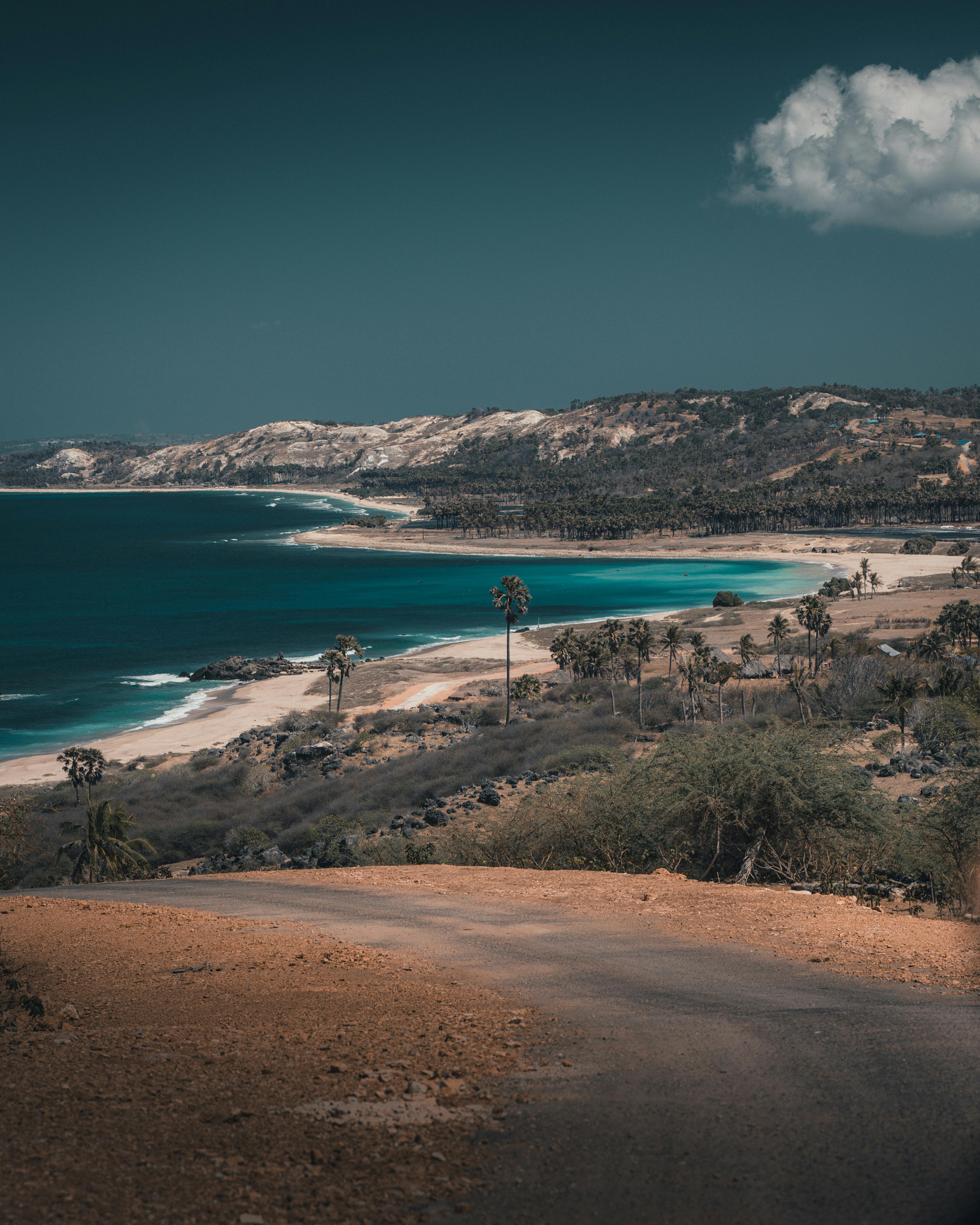 Southern Sensations: Coastal Flavors from the Tropical South