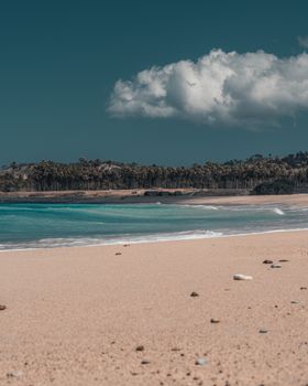 Scenic view of a tranquil tropical beach with palm trees and ocean waves under a clear sky.