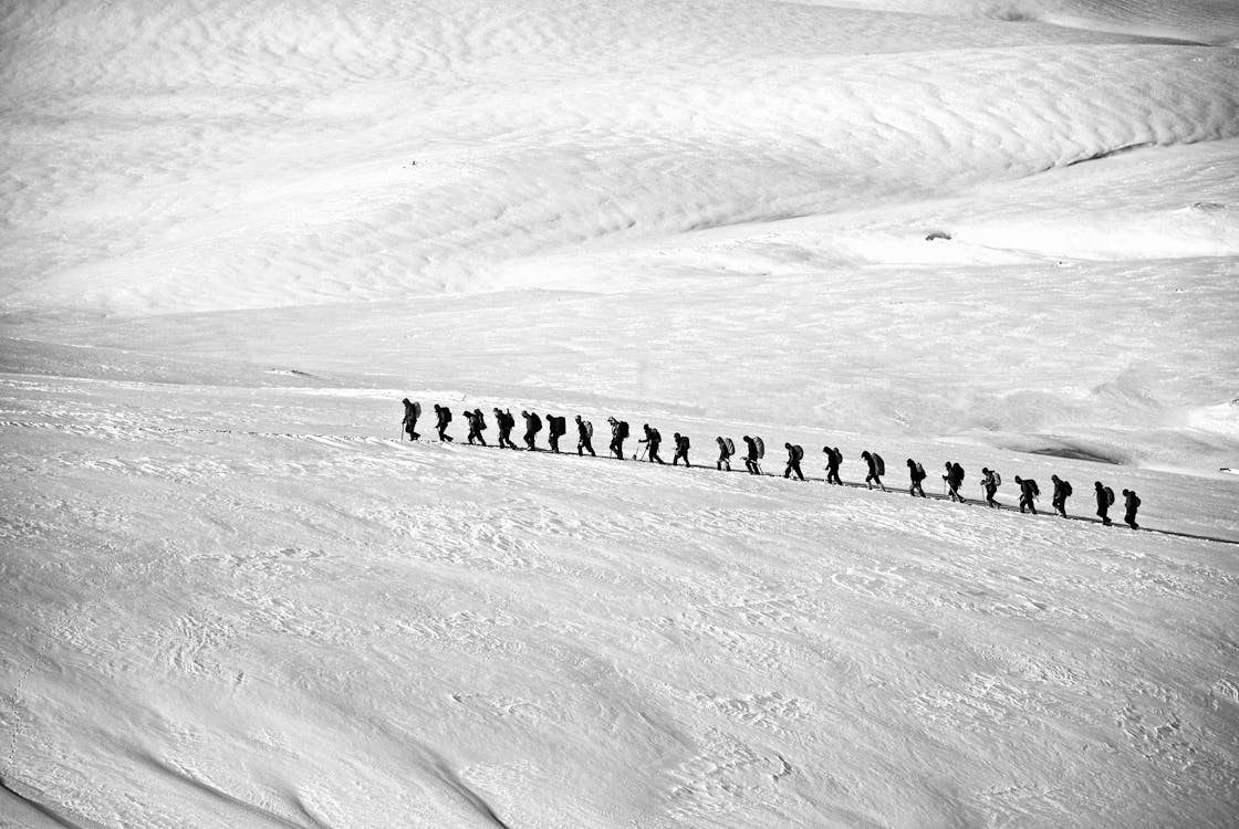 Ücretsiz Kar Alanında Gri Tonlamalı Fotoğrafçılıkta Yürüyen İnsanlar Stok Fotoğraflar